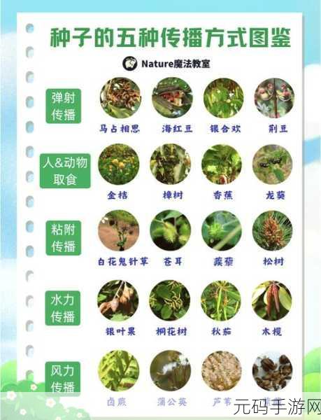 鼹鼠同行,探索森林之家的奇妙旅程,双人合作经营新体验现已开启下载!