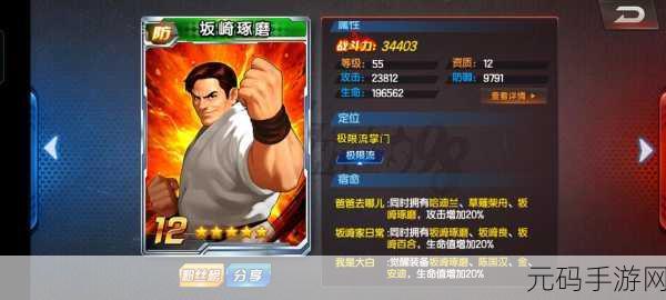 拳皇 97OL,角色实力大揭秘,谁是最强王者?