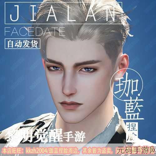 黎明觉醒生机,打造魅力男性角色的捏脸秘籍