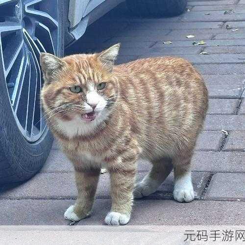 ---