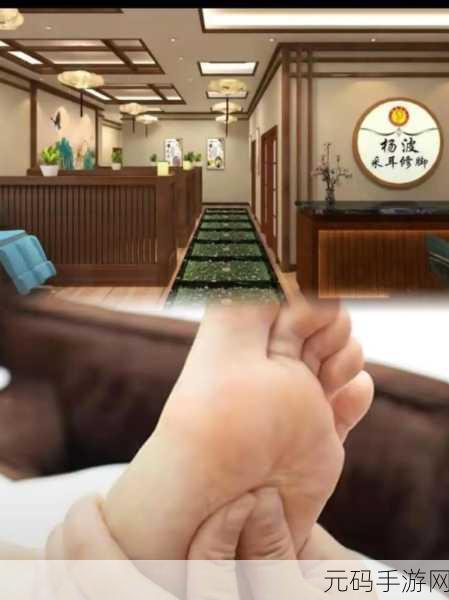 沉浸式采耳修脚挑战，解压新宠，闯关乐趣无穷尽！