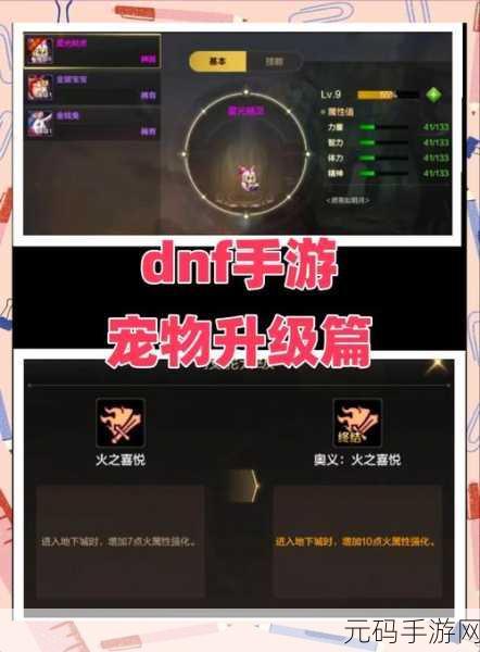 探索 DNF 大龙猫的直播平台及手游攻略秘籍