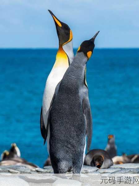 划线企鹅Penguini The Penguin SD,冰爽挑战,智趣无极限!