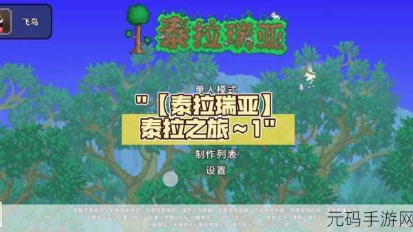 泰拉瑞亚,探寻迷人背景音乐之旅