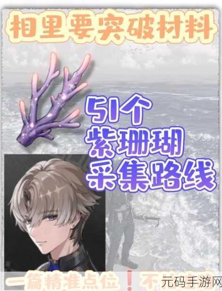 鸣潮手游金阳凤采集全攻略