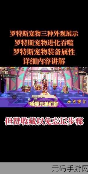 DNF 手游，罗特斯宠物获取全攻略
