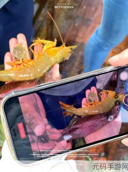 捕鱼外传震撼登场，探索深海奥秘，体验全新3D捕鱼盛宴