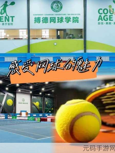 网球爱好者狂欢!全新网球大赛自由运动游戏震撼上线,体验指尖上的体育竞技魅力