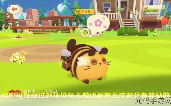 萌宠新纪元,猫咪公寓3D版震撼登场,开启大型3D猫咪养成之旅!