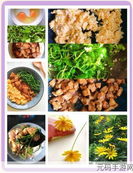 小鸡盖饭再来一碗风靡全网，益智休闲新宠来袭！