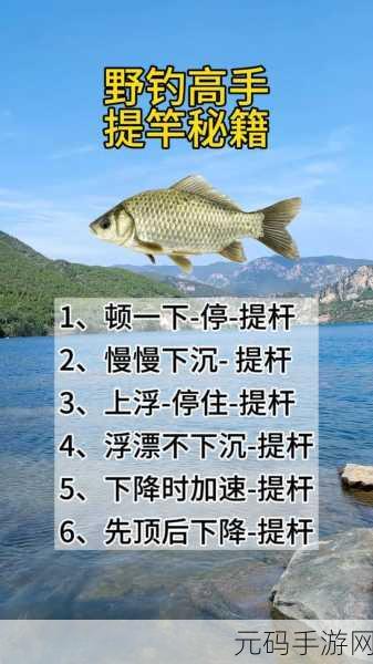 燕云十六声新手必知的钓鱼秘籍