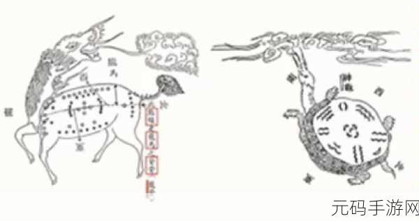 上古河图人族炼丹师灵素全解析，你不容错过！