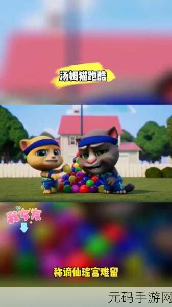 汤姆猫跑酷2025版震撼登场，解锁无限乐趣，跑出新纪元！