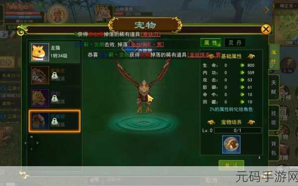 热血江湖手游，灵宠的神奇用途与获取全指南