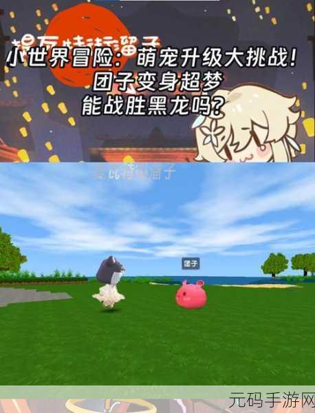 萌宠集结，契约启程，探索萌之契约RPG冒险世界的奇妙之旅