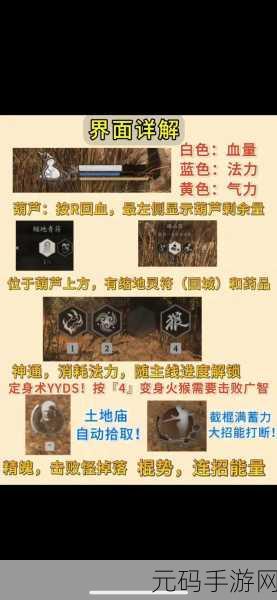 黑神话悟空加点秘籍，前期称霸的绝佳策略