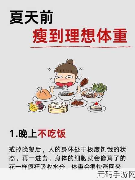 小胖减肥大冒险，踏上健康生活的趣味之旅