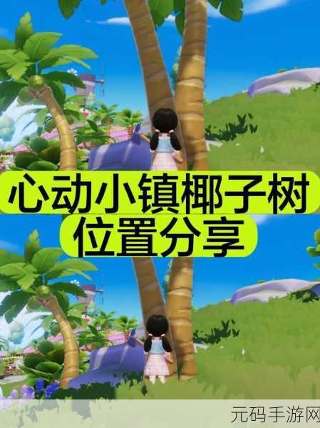 心动小镇椰子宝藏任务全攻略指南