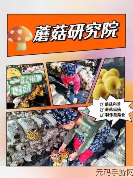 蘑菇奇遇记，真实采集蘑菇模拟器手机版震撼上线，探索自然乐趣无穷！