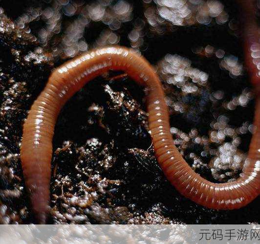 钓蚯蚓手游即将来袭,公测上线时间抢先知晓