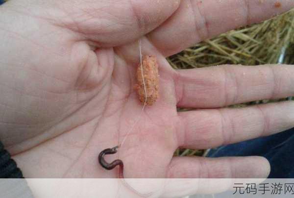 钓蚯蚓手游即将来袭,公测上线时间抢先知晓