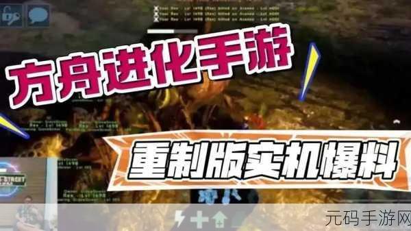 陆地幸存者io，探索多人在线生存游戏的全新冒险