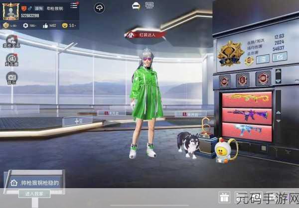吃鸡亚服畅玩指南，加速器是否必需及优质推荐