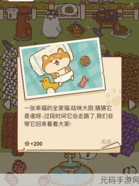 动物餐厅最新破解版来袭，打造你的梦幻萌宠餐厅