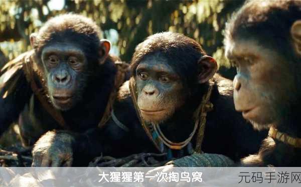 掘地大猩猩安卓震撼登场，魔性休闲新体验，让你欲罢不能！