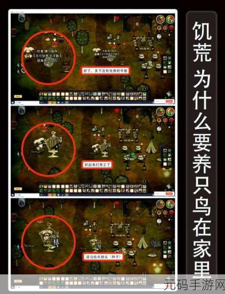 饥荒手游冬季盛宴烤炉的奇妙用法全攻略