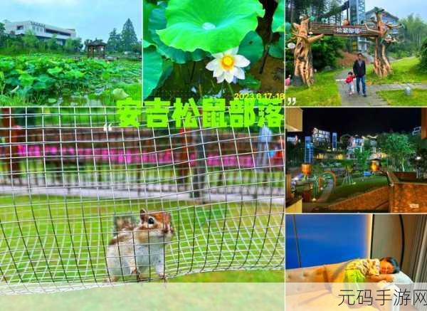 探秘自然奇趣，松鼠模拟器——体验林间小侠的冒险日常