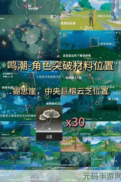 鸣潮,长离培养必备突破材料全解析