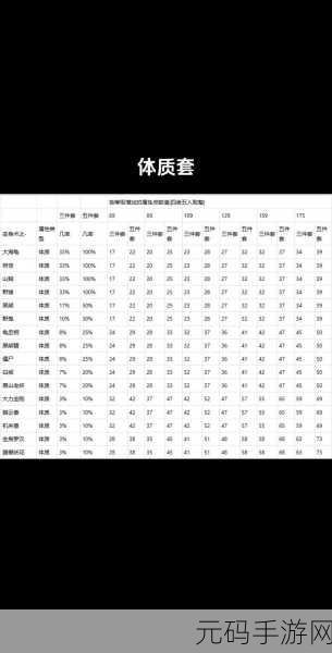 梦幻西游手游，解锁套装效果的终极指南