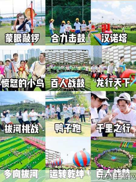 南北差异大比拼,一款趣味横生的休闲益智游戏