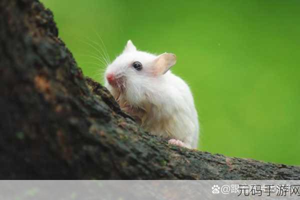仓鼠高尔夫萌趣上线,无限金币版等你来挑战!