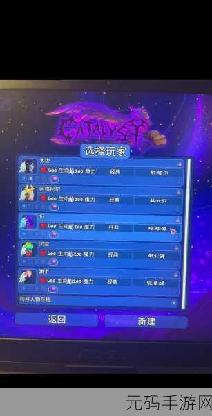 泰拉瑞亚手游,战士毕业套终极对决