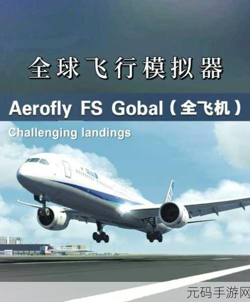 翱翔天际的另类挑战,飞机失事模拟器英文版震撼登场