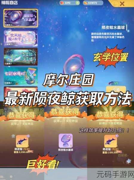 摩尔庄园手游,探秘雪山钓鱼场的绝佳位置与神奇技巧