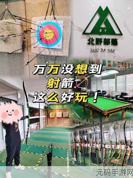 战箭天下震撼更新!最新版本射箭闯关游戏等你来战