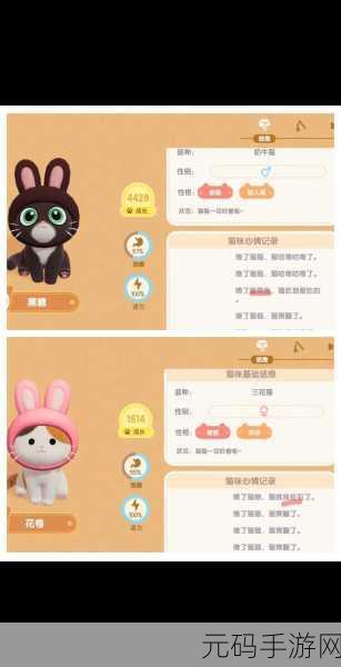 心动小镇养猫全攻略，让可爱猫咪伴你同行