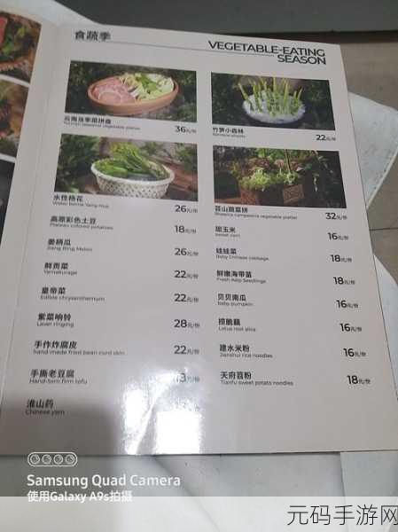 解忧小村落四级食谱大揭秘,美味佳肴等你来解锁