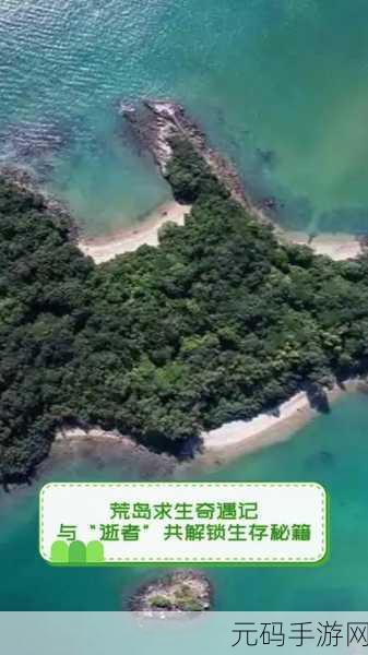 荒岛奇遇,神秘岛生存3D修改版震撼发布,求生之旅即刻启程!