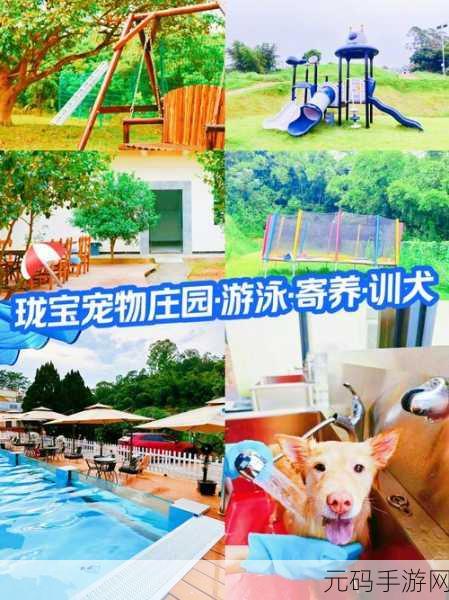 萌宠养成新纪元，探索梦幻宠物庄园的奇妙之旅