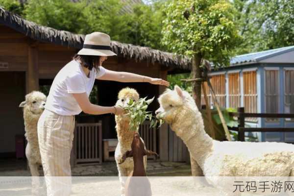 萌宠养成新纪元，探索梦幻宠物庄园的奇妙之旅