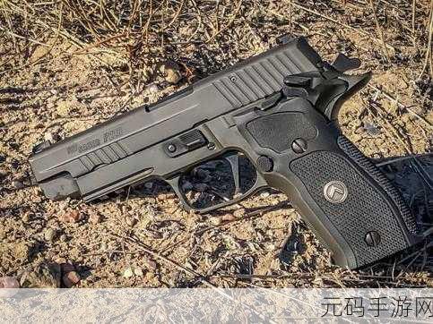 好运手枪风靡全网，解锁你的休闲闯关新乐趣！