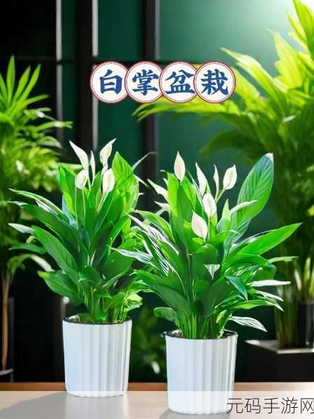 电子盆栽游戏风靡全网，打造你的专属绿色小天地