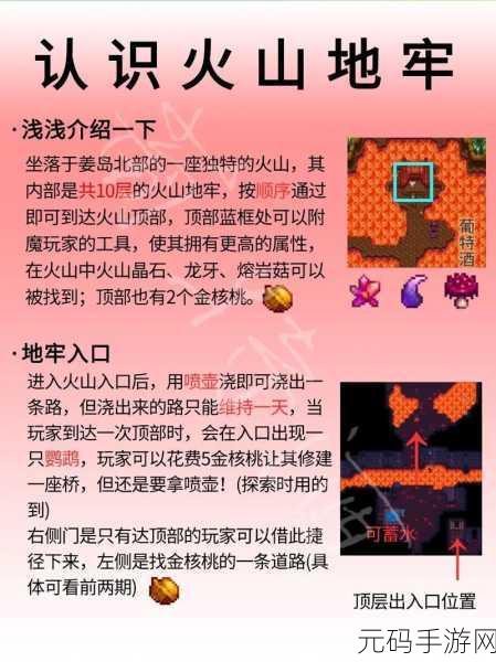 星露谷物语，地窖建造全攻略秘籍