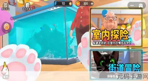 萌宠治愈新选择，猫咪挂机游戏上线，益智养成乐趣无限！
