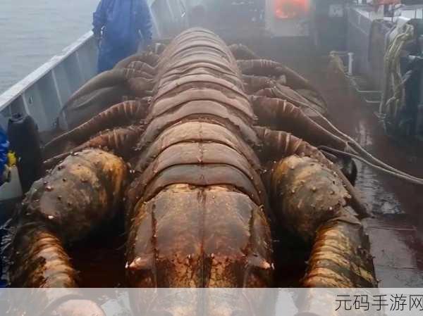 巨鲲狂飙震撼登场,跑酷与养成完美融合,挑战你的极限!