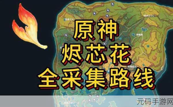 原神,掌握这些技巧,悼灵花轻松采集